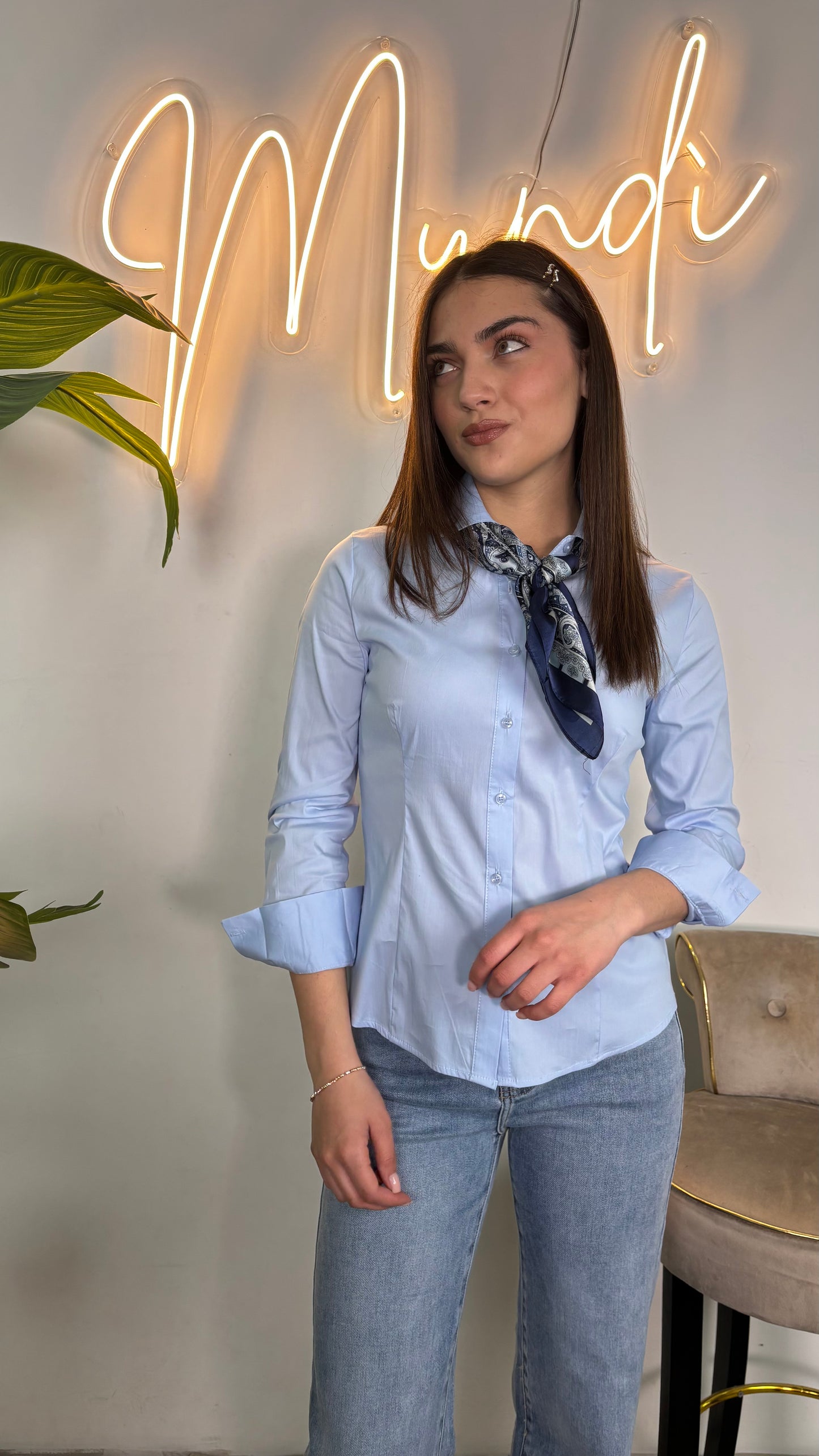 Camicia basic colorata