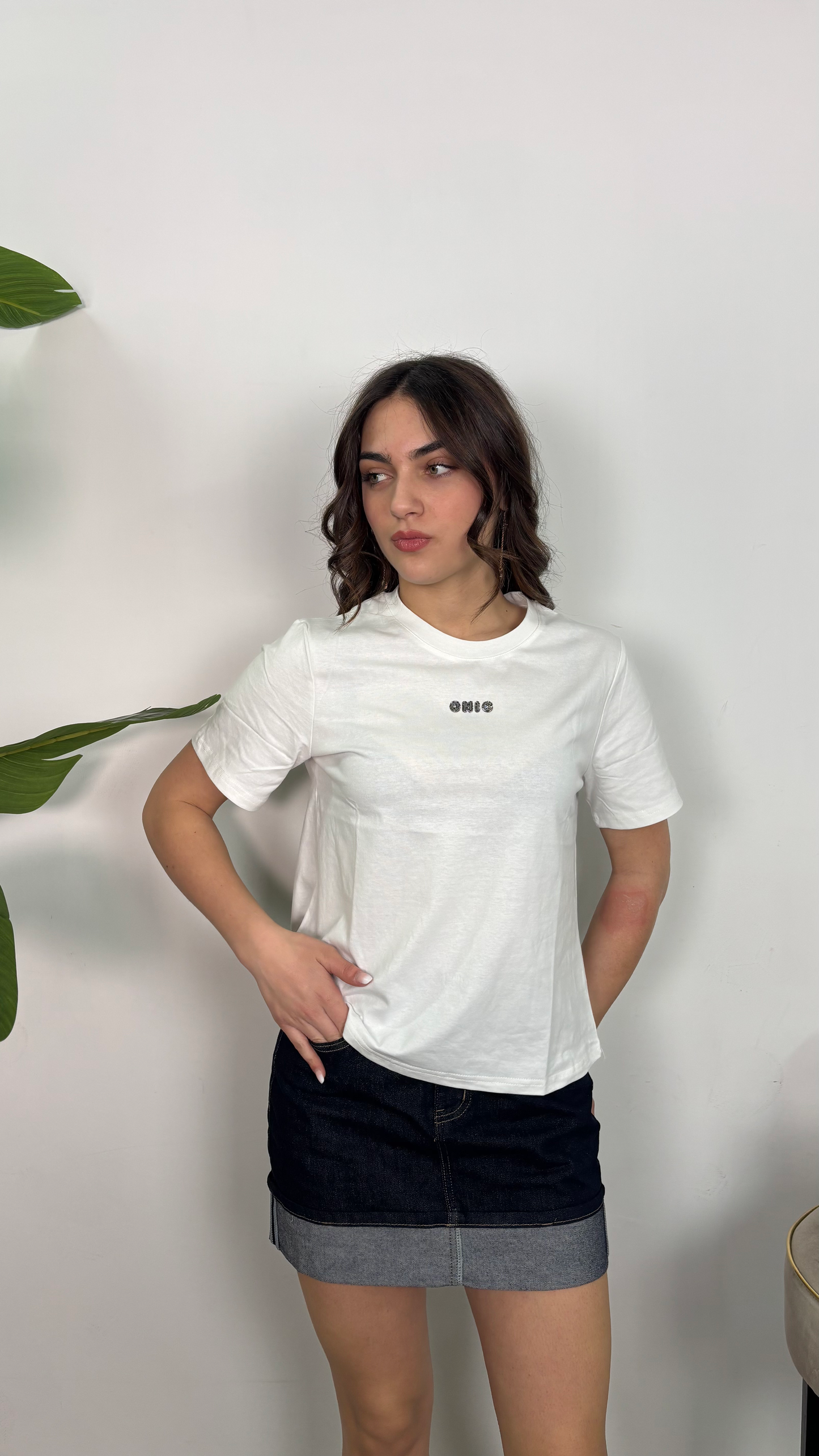 T-shirt Chic