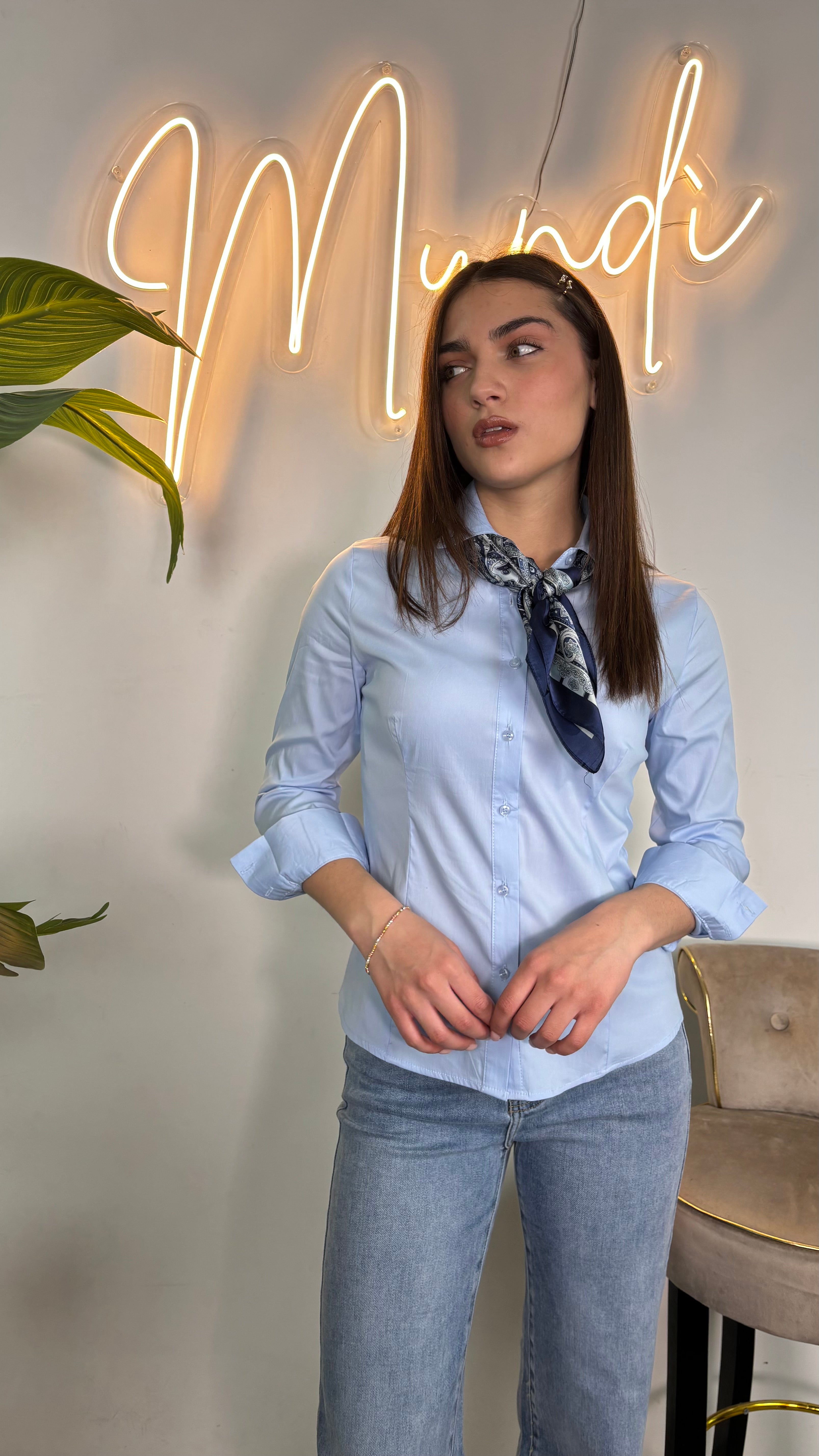 Camicia basic colorata